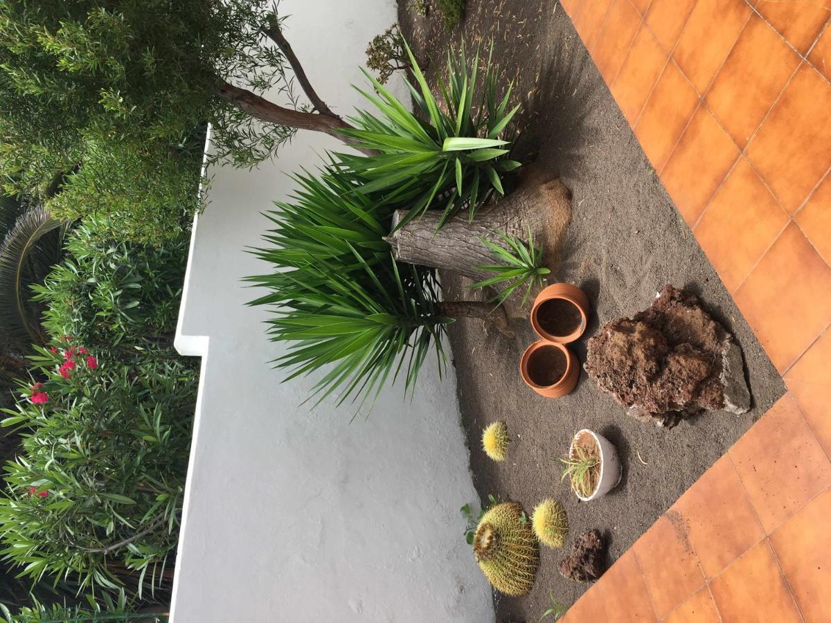 Apartamento con jardín y piscina B Puerto de la Cruz  Exterior foto